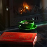 Gifts for Book Lovers – Shopping Suggestions