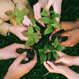 Authors Helping Each Other Grow -- Even When on Vacation